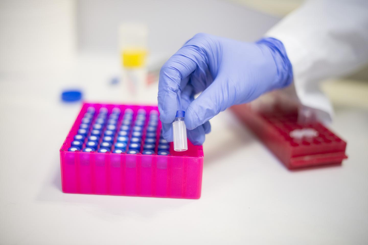 Potential for Schizophrenia Drug