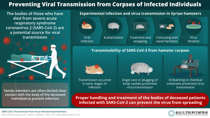 Prevention and Treatment of Viral Infections – Biology