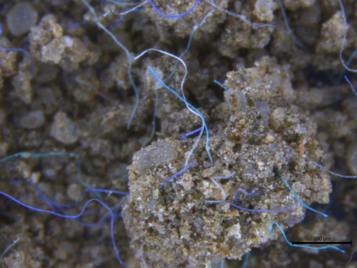 Land-Based Pollution with Microplastics