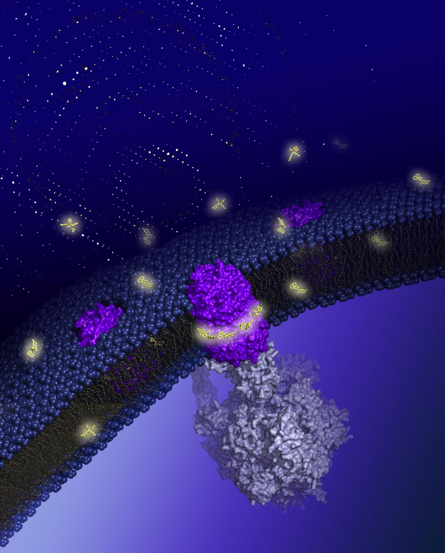 A Molecular Look at the Latest Tuberculosis Drug (1 of 2)