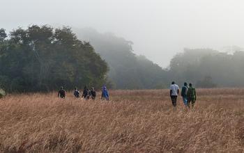 Researchers in Moukalaba-Doudou National Park, in Gabon