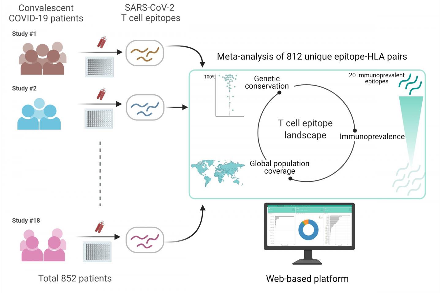 Web-based platform