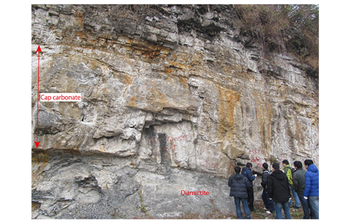 Bacterial Bloom as the Earth Thawed: Photosynthetic Organisms During the Snowball Earth