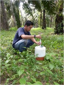 Research assistant from Indonesia checks measurement chamber in the oil palm plantation being studied in Jambi, Indonesia