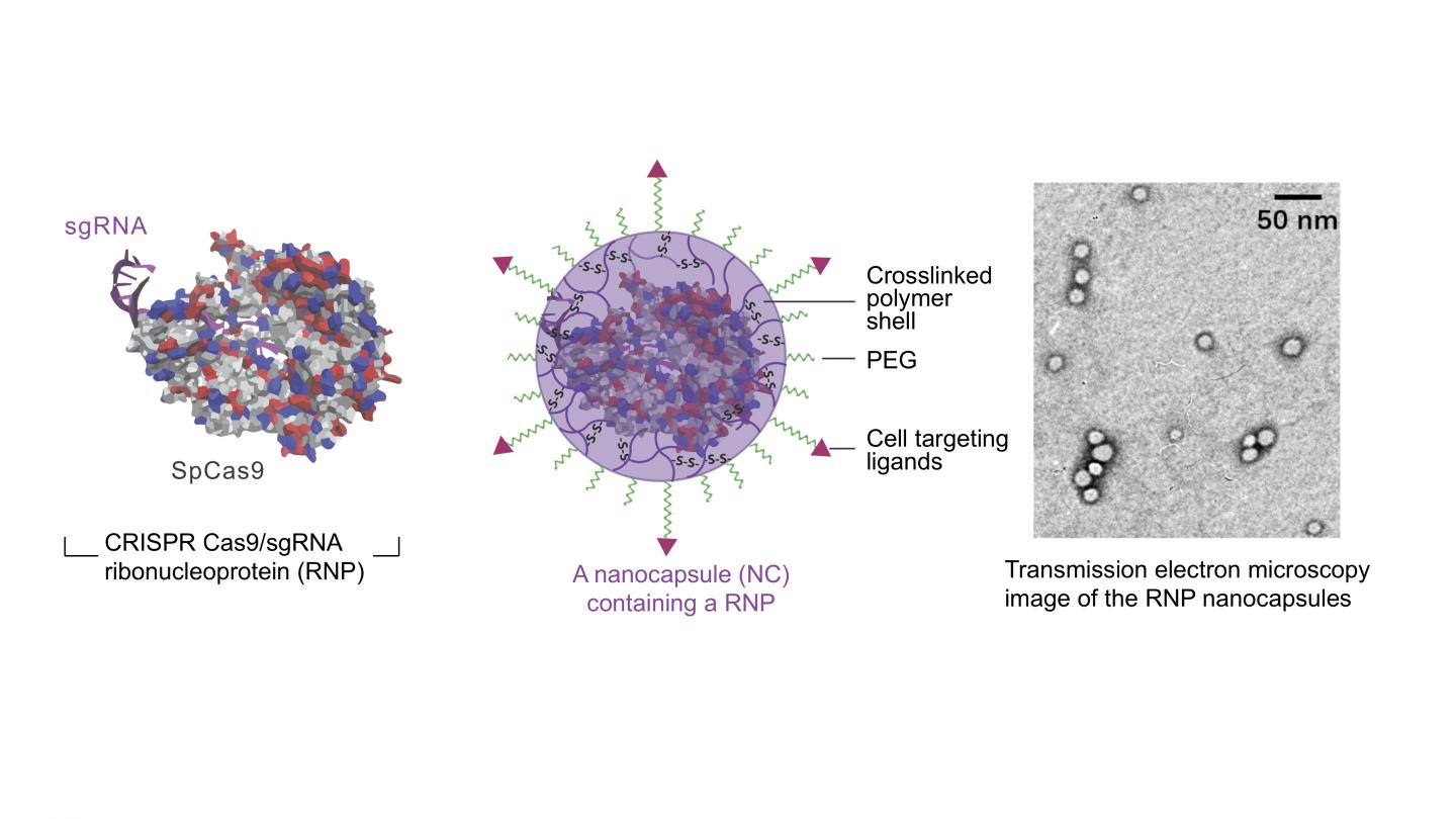 Nanocapsules