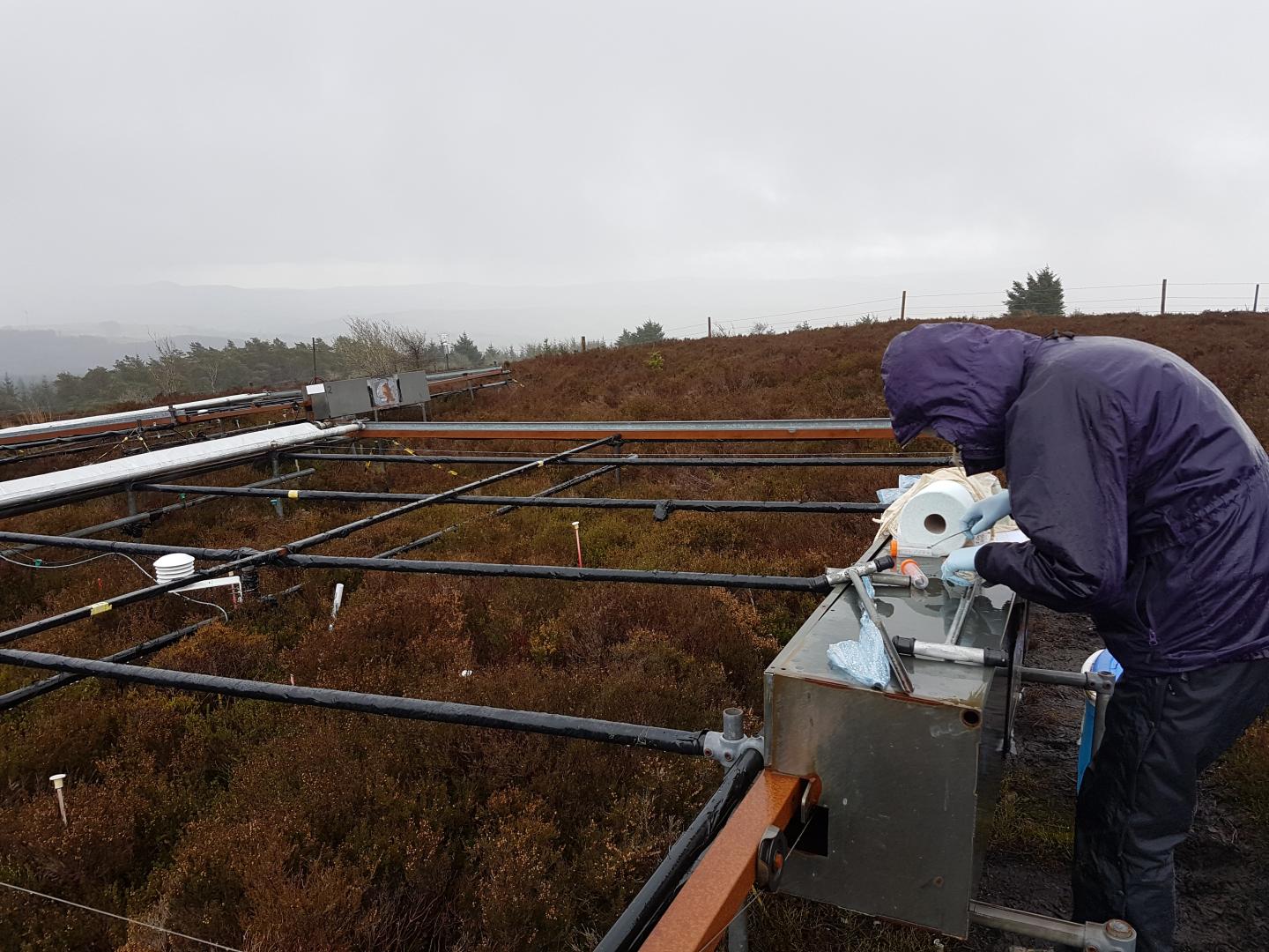 Experimentation at the Cloceanog Forest Site in Wales