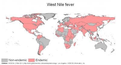 West Nile Fever [IMAGE] | EurekAlert! Science News Releases
