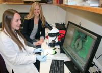 Utah State University Biologists Examine Reproductive Organs of Alkali Bee
