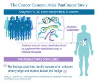 The Cancer Genome Atlas PanCancer Study