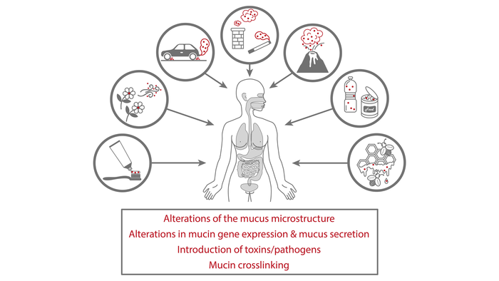 Sources of particulate matter and effects