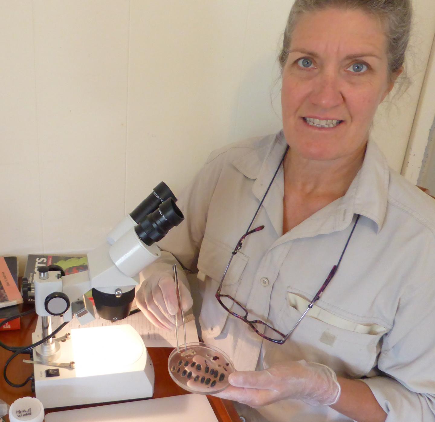 The Carnivorous Spotted-Thighed Frog