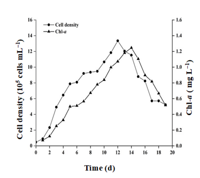 Growth curves of S. costatum