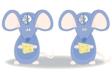 Mice Without the Enzyme OGT in Brain Cells Keep Eating