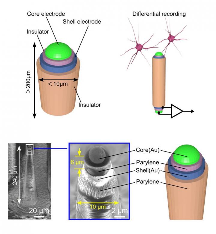 Coaxial Cable-Inspired Microneedle Electrode for Neural Recording