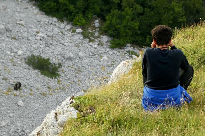 Man observing bears