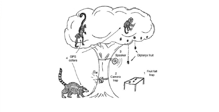 Schematic of methods used