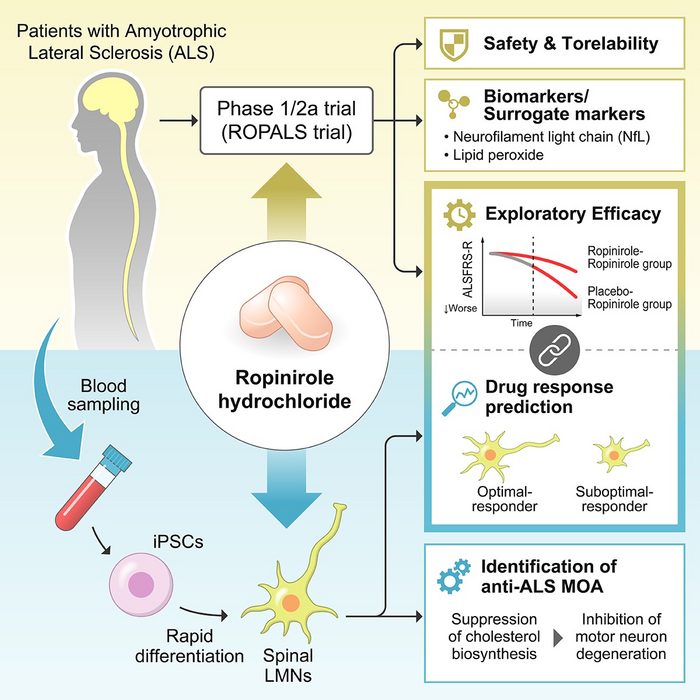 Parkinson’s disease drug ropin [IMAGE] | EurekAlert! Science News Releases