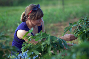 Rebecca Bart, PhD, member, Donald Danforth Plant Science Center