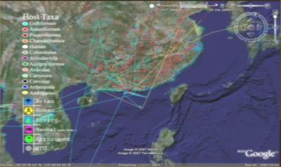 'Supermap' of Avian Flu 2 (of 3)