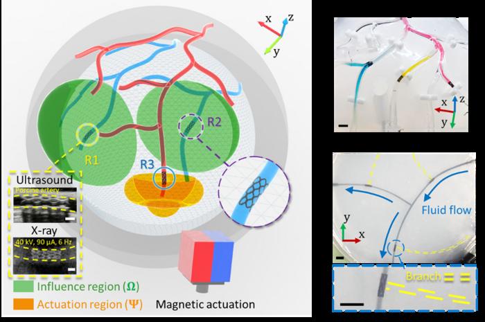 The magnetic robot is the shape of a stent