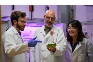 James Umen, PhD, in the lab.