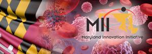 Maryland E-Nnovation Initiative Fund