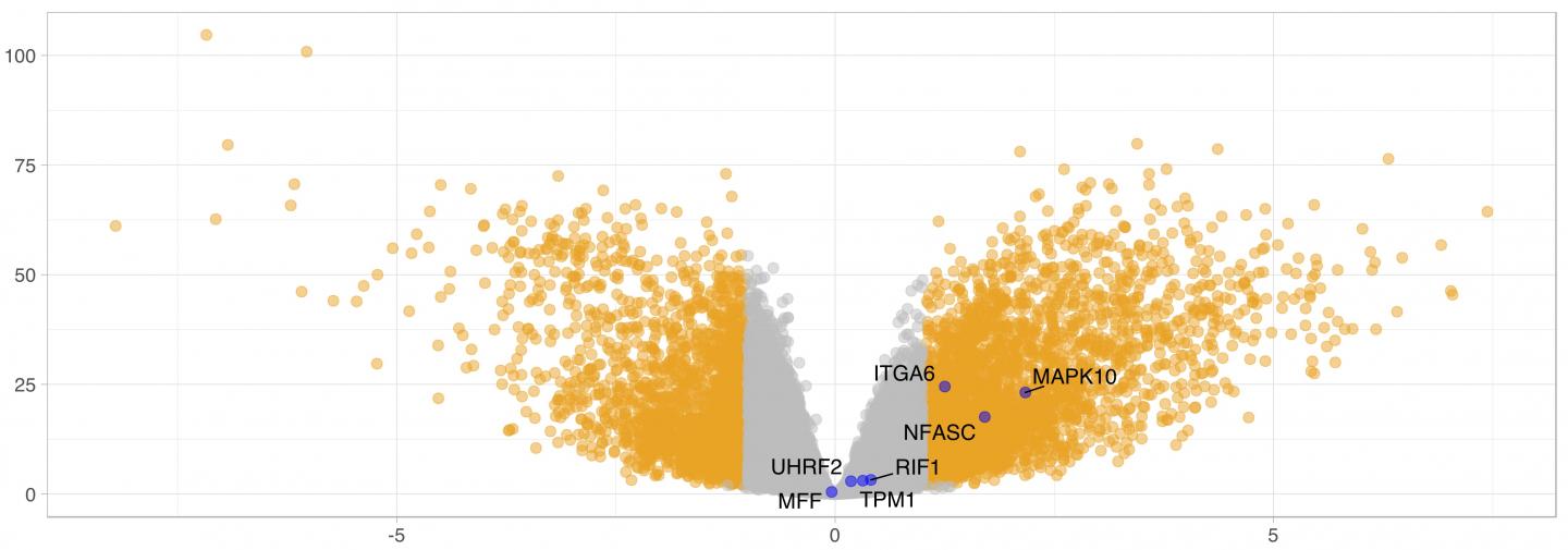 Big Data of Our Genes