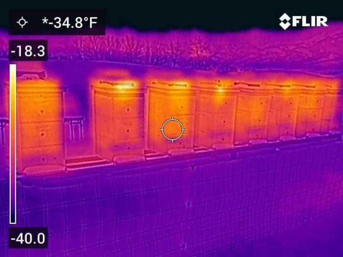 Hives heat map