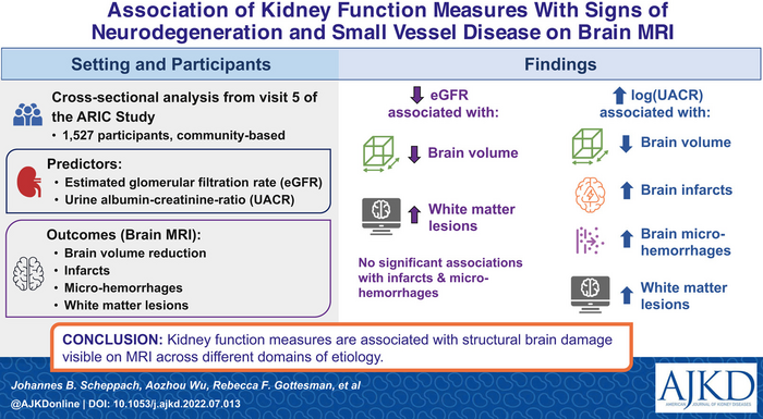 Association of Kidney Function Measures With Signs of Neurodegeneration and Small Vessel Disease on Brain MRI