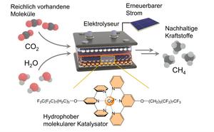 Der hydrophobe molekulare Katalysator (unten)