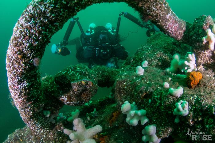 A diver examines a wreck