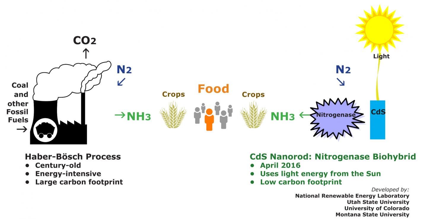 Haber-B&ouml;sch vs. Light-Driven Dinitrogen Reduction