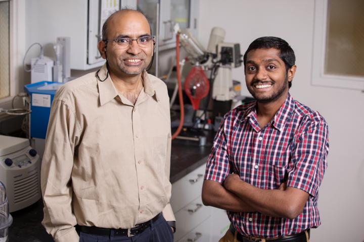 B.K. Sharma and Sriraam Chandrasekaran, University of Illinois at Urbana-Champaign