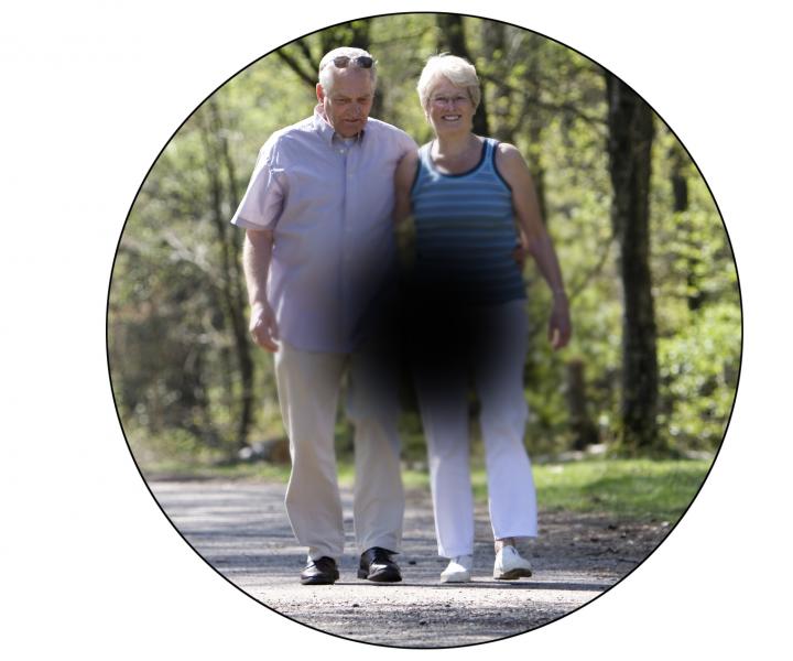 Future Therapies for Macular Degeneration