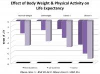 Effect of Body Weight & Physical Activity on Life Expectancy