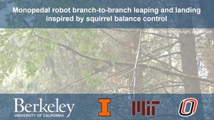 Monopedal robot jumping from branch to branch