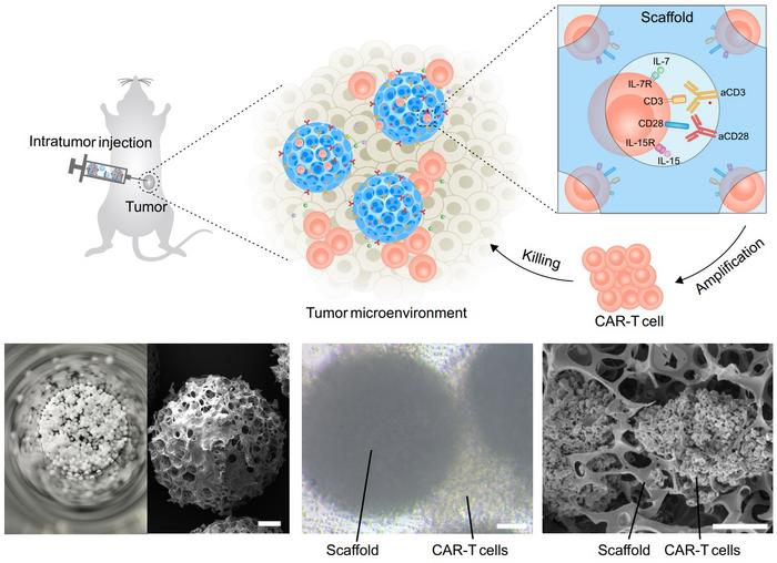 Schematic of the artificial lymph node-like scaffold