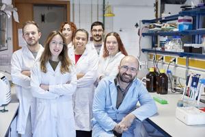 Research team from the Cell Structure and Dynamics Laboratory of BioISI, CIÊNCIAS (Portugal).