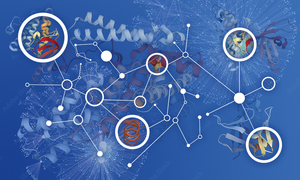 A human interactome to prioritise drug discovery