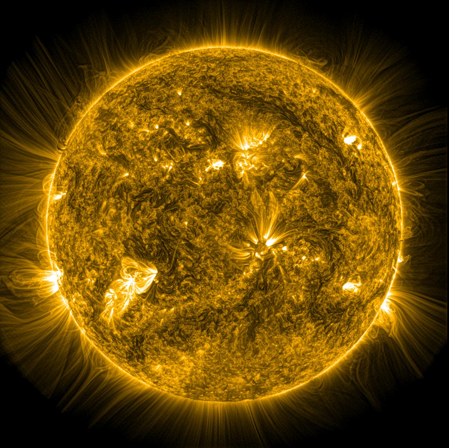 The Sun's Corona