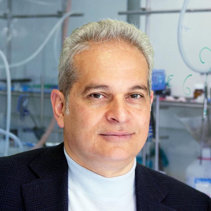 Daniele Piomelli, University of California - Irvine