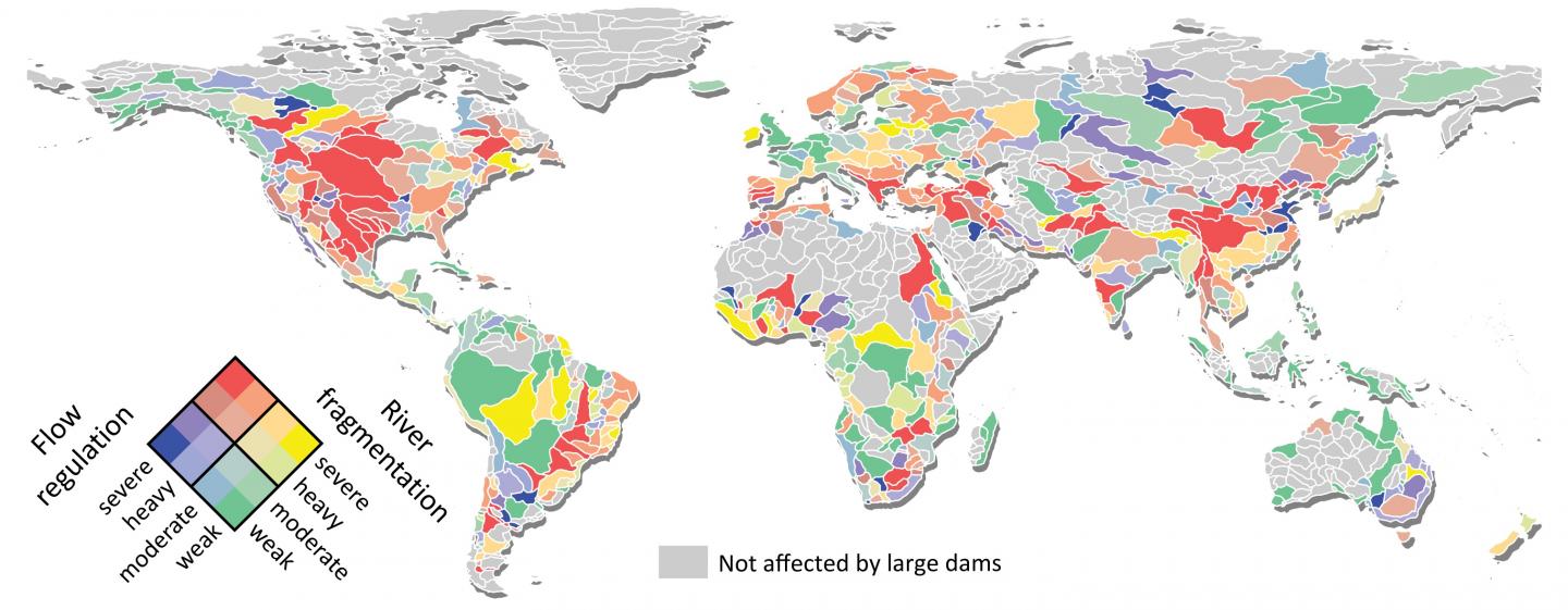How Rivers around the Globe Are Affected by Current and Planned Dams
