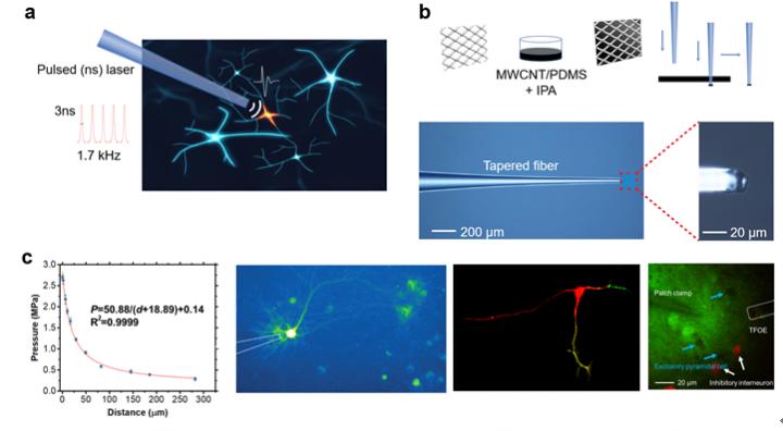 Figure 1. Working principle and results of the TFOE neurostimulation.