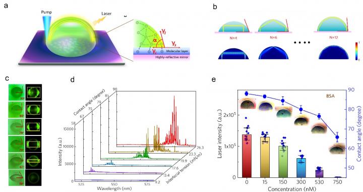 (a) Schematic of a droplet laser hosting arc-like (AL) modes, and more.