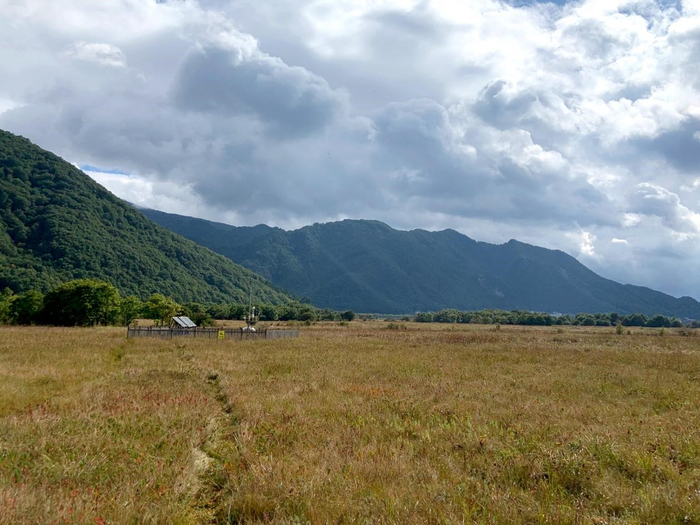 Dajiuhu subalpine peatland