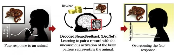 DecNef