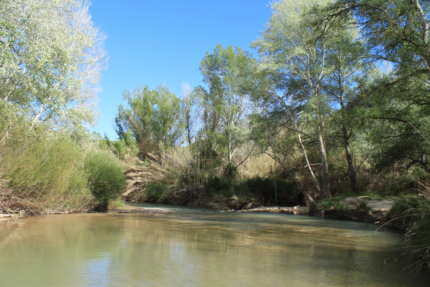 Segura River