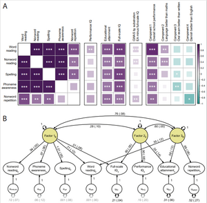 Figure 1. Reading- and language-related traits have a shared genetic architecture that is largely independent of performance IQ.