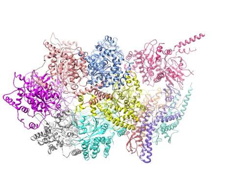 3-D view of Helicase