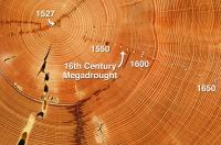Tree-rings Show 1600s Megadrought